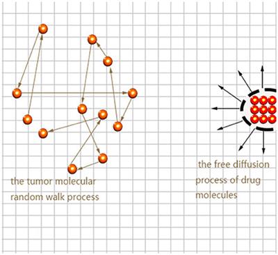 Signal Transmission of Biological Reaction-Diffusion System by Using Synchronization